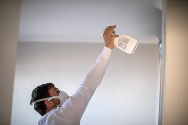 Best Same-Day Mold Removal  in Cedar Bluff, VA