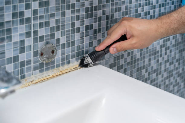 Best Mold Removal Company Near Me  in Cedar Bluff, VA