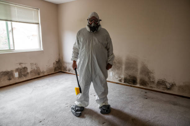 Best Mold Cleaning Services  in Cedar Bluff, VA
